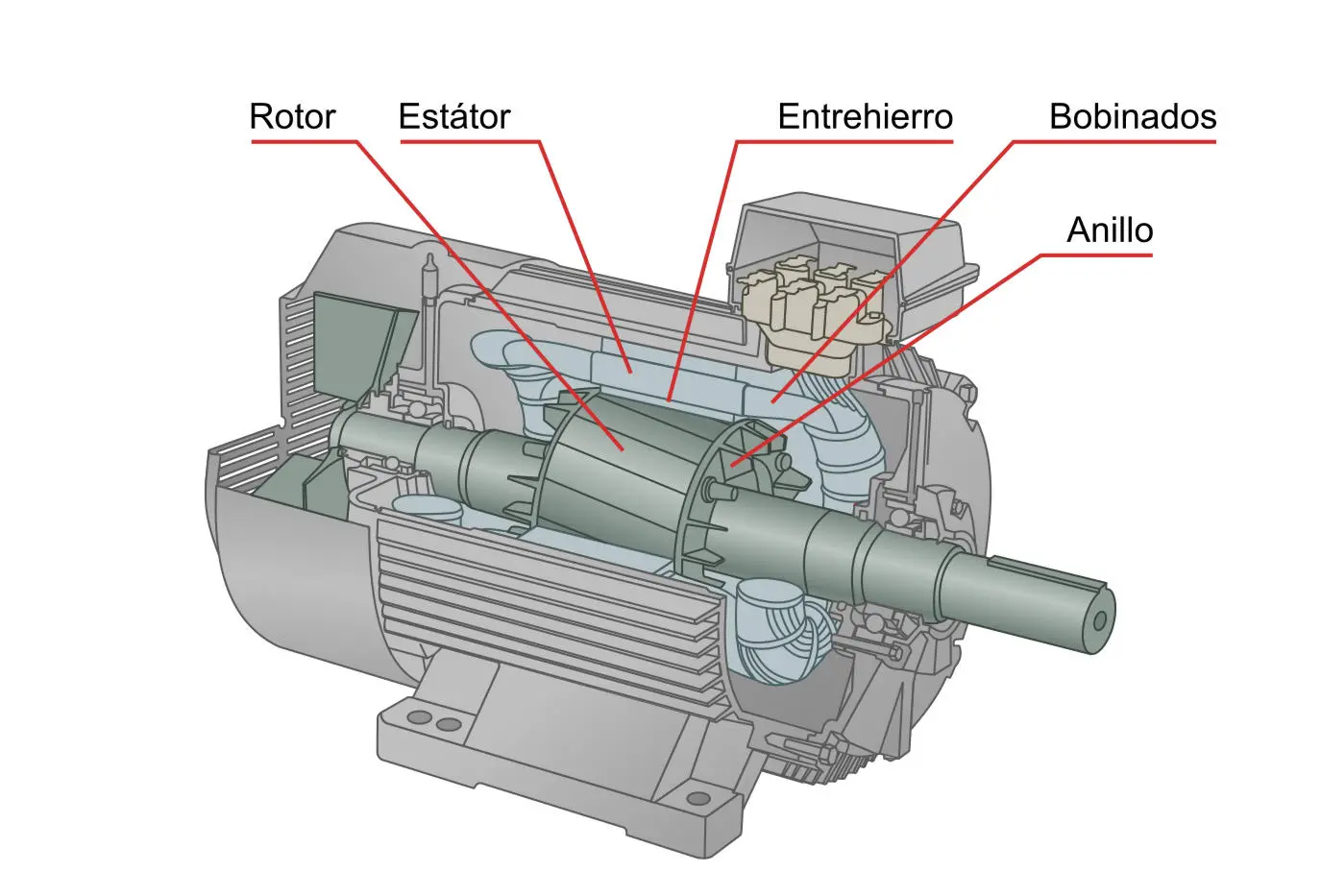 Polo en un Motor: Definición, Tipos y Aplicaciones - Cuál es el significado de polo en motor que es un polo en un motor - Cuál es el significado de polo en motor