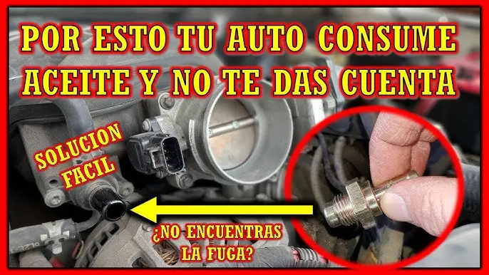 motor gasta mucho aceite - Cuál es la causa del alto consumo de aceite