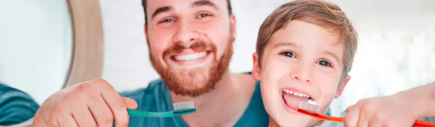Motor de Cepillo de Dientes Eléctrico: Guía Completa - Cuáles son las partes del cepillo dental motor de cepillo de dientes - Cuáles son las partes del cepillo dental