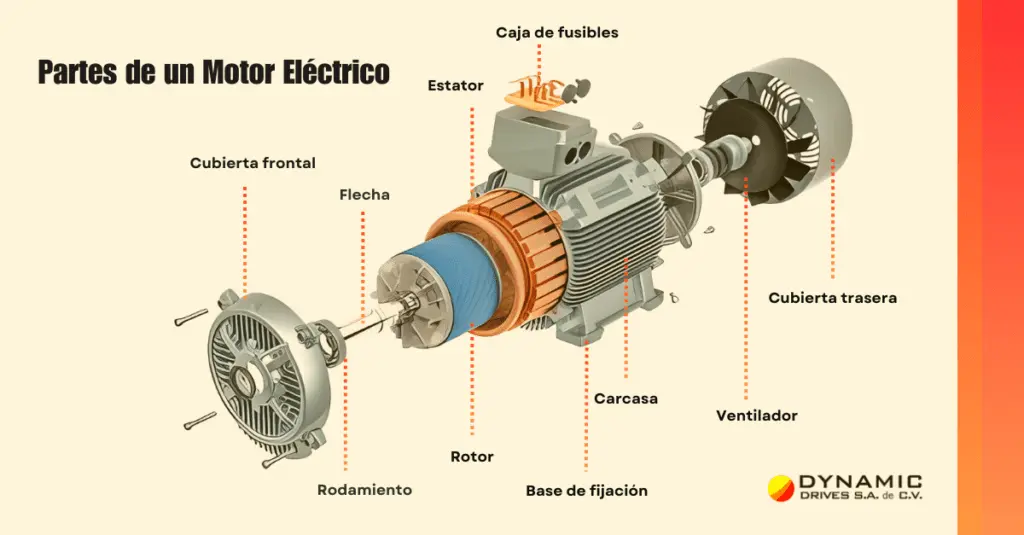 Componentes Clave De Un Motor Eléctrico - MOTORBA