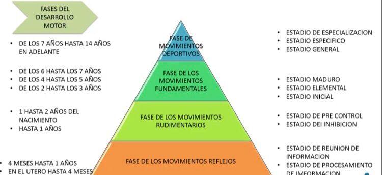 Teoría del movimiento de Gallahue: El modelo de reloj de arena - Qué es la teoría del movimiento gallahue modelo de desarrollo motor de gallahue - Qué es la teoría del movimiento gallahue