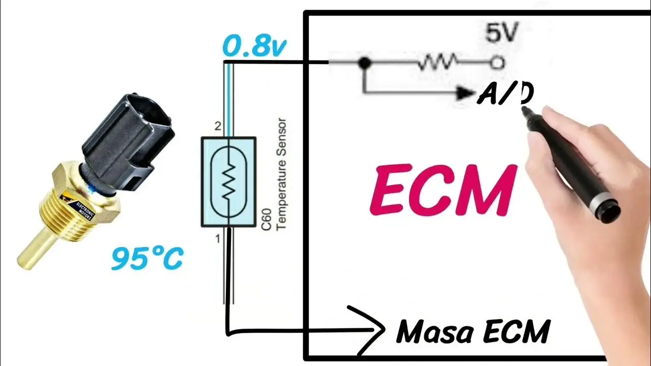 Sensor de Temperatura del Motor: Siglas, Funcionamiento y Tipos - Qué es un sensor ST sensor de temperatura del motor siglas - Qué es un sensor ST