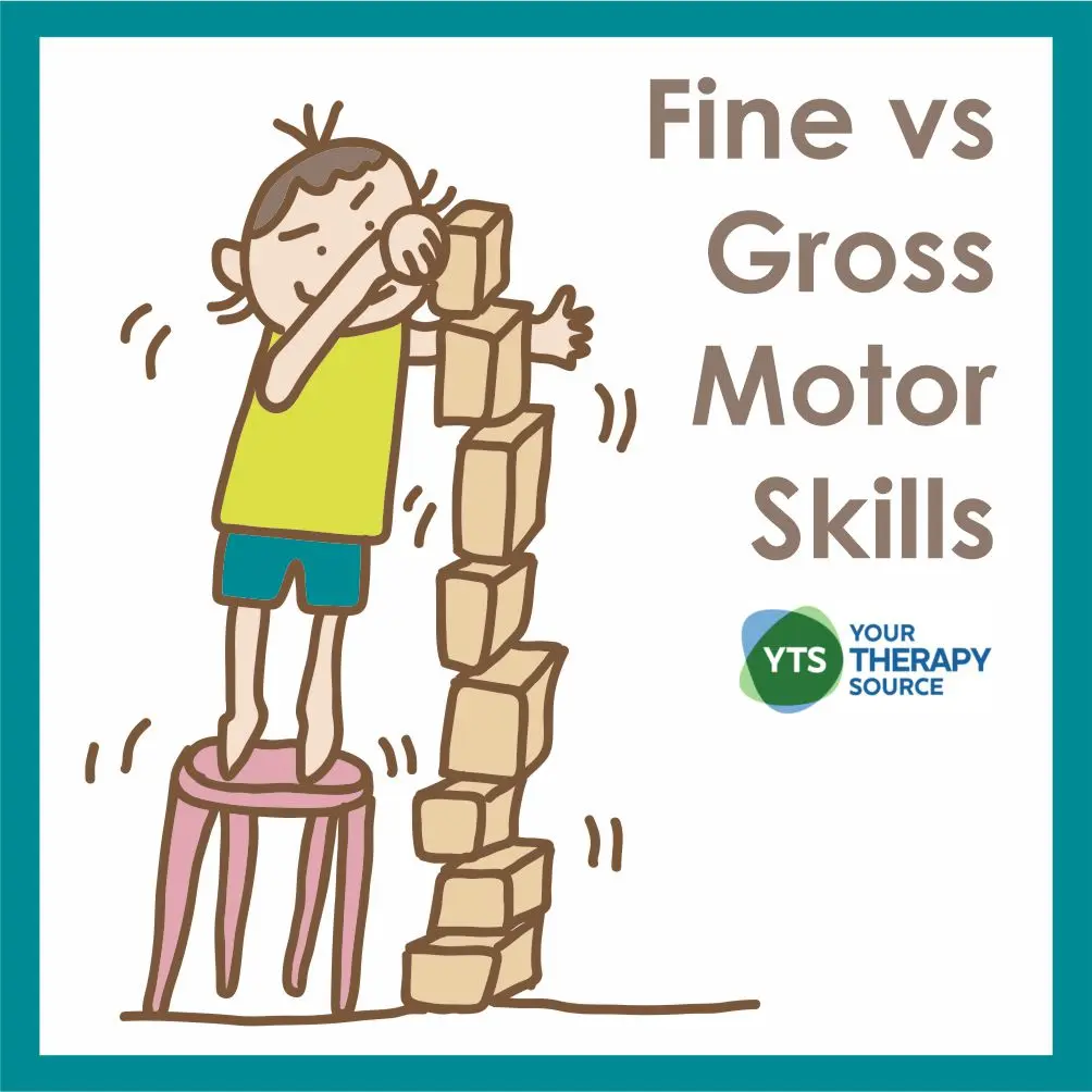 Habilidades Motoras Finas y Gruesas: Desarrollo y Importancia en la Infancia - Qué importancia tiene desarrollar la motricidad fina y gruesa del niño fine and gross motor - Qué importancia tiene desarrollar la motricidad fina y gruesa del niño