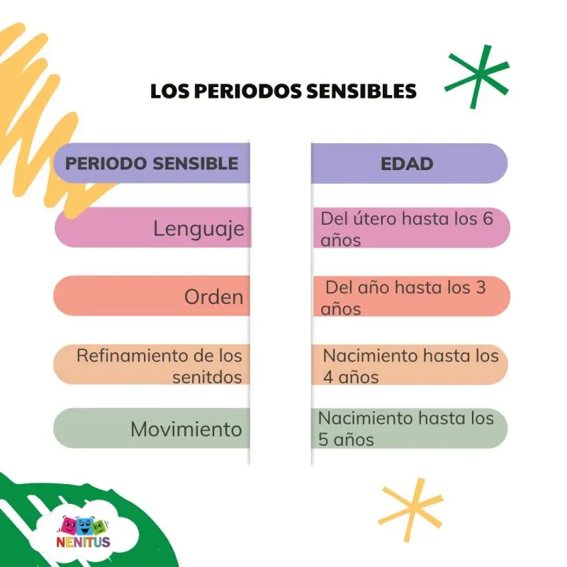Las Etapas Sensibles del Desarrollo Motor: Guía Montessori para Padres - Qué son las edades sensibles etapas sensibles del desarrollo motor - Qué son las edades sensibles
