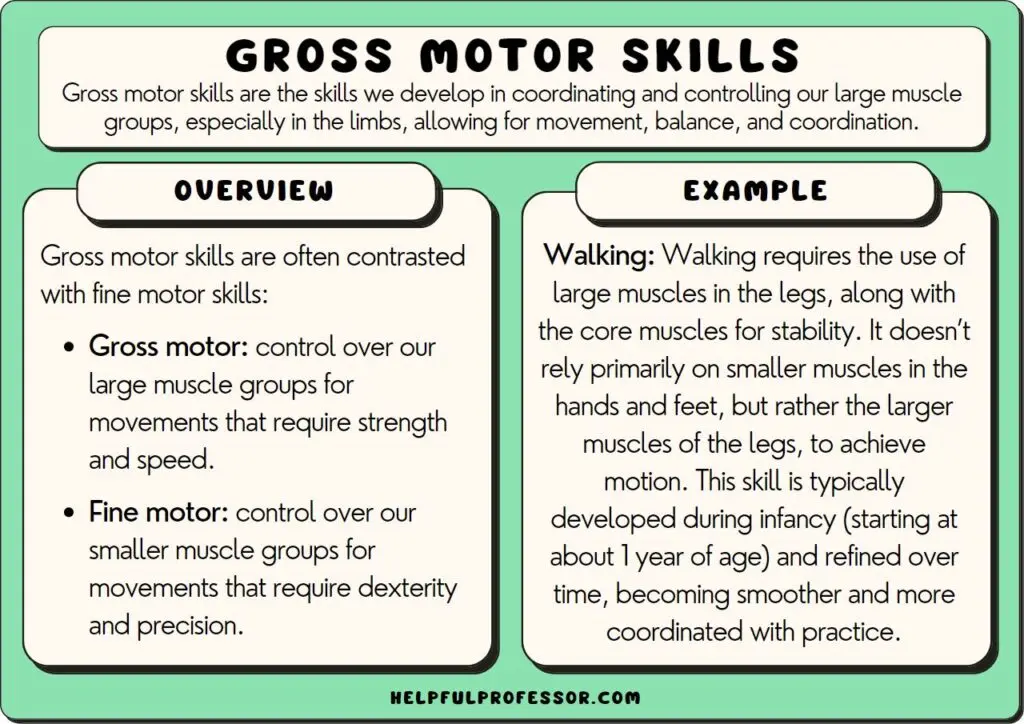 Habilidades Motoras Gruesas vs. Habilidades Motoras Finas: Una Guía para Padres - What is the difference between fine motor skills and gross motor skills gross motor skills vs fine motor skills - What is the difference between fine motor skills and gross motor skills